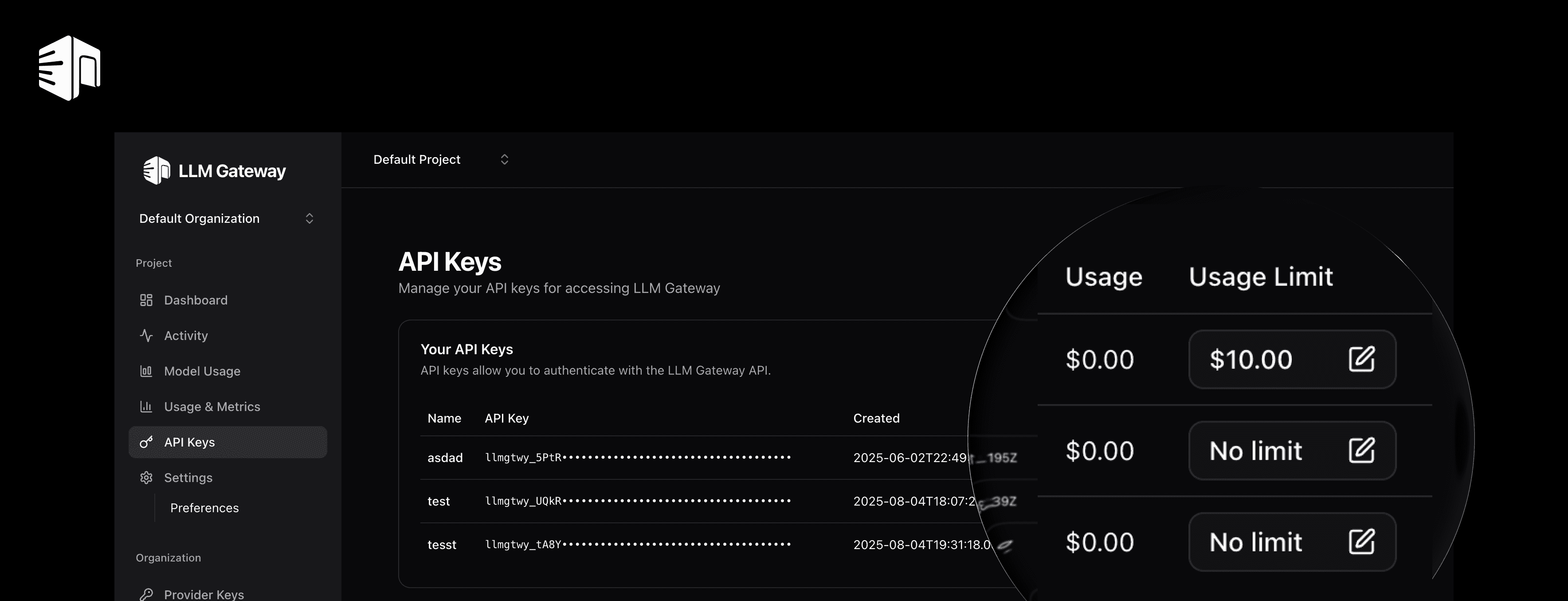 API Keys dashboard showing usage limits and credit controls